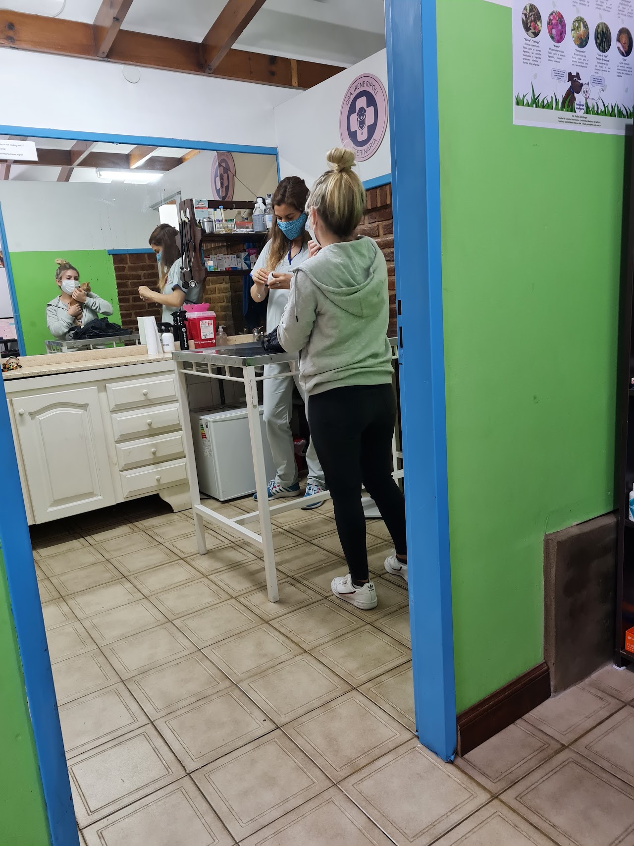 Consultorio de Veterinaria Irene Ripoll